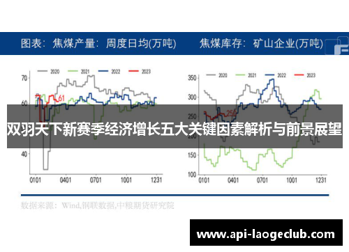 双羽天下新赛季经济增长五大关键因素解析与前景展望