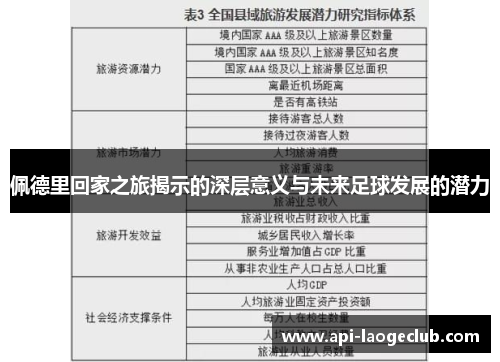 佩德里回家之旅揭示的深层意义与未来足球发展的潜力 佩德里回家之旅揭示的深层意义与未来足球发展的潜力