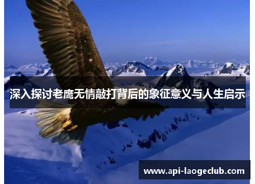 深入探讨老鹰无情敲打背后的象征意义与人生启示