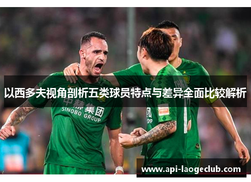 以西多夫视角剖析五类球员特点与差异全面比较解析