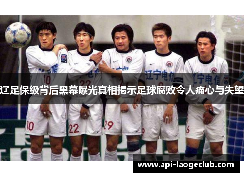 辽足保级背后黑幕曝光真相揭示足球腐败令人痛心与失望