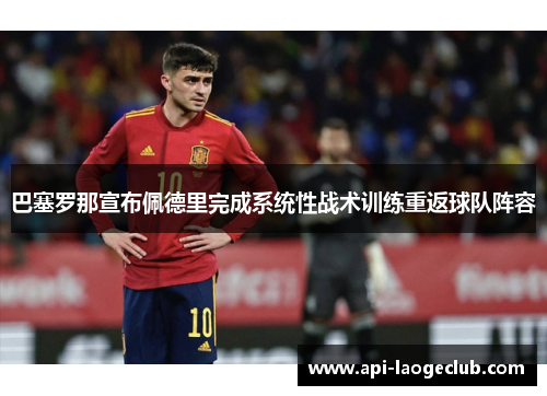 巴塞罗那宣布佩德里完成系统性战术训练重返球队阵容 巴塞罗那宣布佩德里完成系统性战术训练重返球队阵容